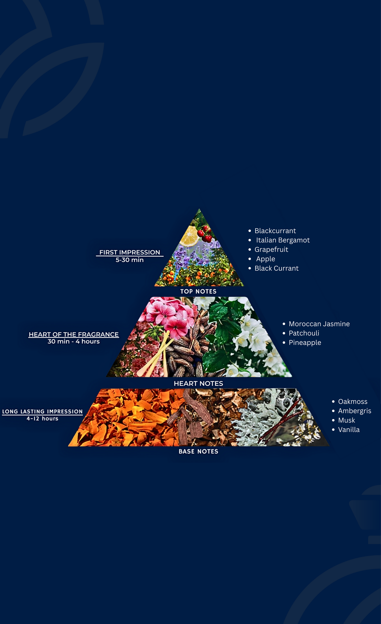 Pyramid diagram of a fragrance's note structure on a dark blue background
